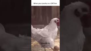 When your poultry brings the GOAT energy to the farm 🐔⚽️ chickens funny viral viralshorts fun [upl. by Ahsimal]