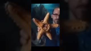 That doesn’t taste like a gusher meme humor ink starfish vsauce laugh [upl. by Hakkeber787]