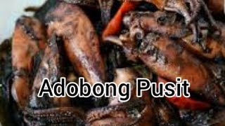 Paano magluto nang Adobo na Pusit adobo adobong adobongpusit pinoyfood pinoyrecipe subscriber [upl. by Yaned338]