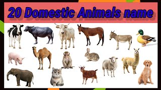 20Domestic animals name with simple sentences। List of 20 farm animals vocabulary [upl. by Eenrahc]