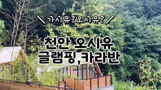 Vlog19천안 오시유 카라반 브이로그 [upl. by Elyn]