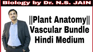 Vascular Bundle संवहनी बंडल Plant Anatomy  Hindi Medium [upl. by Thomajan]