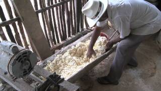 Manioc Flour [upl. by Aicarg]