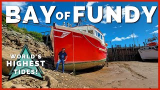 🍁😲 Bay of Fundy Tides are INCREDIBLE Where to See Worlds Highest Tides  Newstates eh 🍁 Ep 10 [upl. by Ilowell]