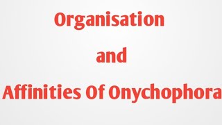 Organisation and Affinities of Onychophora [upl. by Jennilee562]