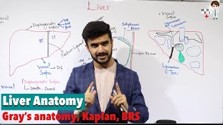 Liver Anatomy Anatomy 82 [upl. by Caassi]