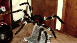 Jumping Spider Animated Prop [upl. by Tnilc27]