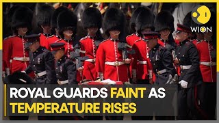 Several British royal guards faint due to heat during ceremony with Prince William  WION [upl. by Leal971]