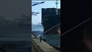 Dangers of Mooring Line Snapback ship shorts viral [upl. by Jeminah]