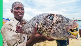 EXTREME African Seafood WILD Tanzania Street Food in Dar es Salaam [upl. by Anastas]