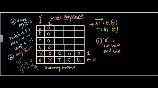 Bioinformatics part 10 Local alignment revised sequence alignment [upl. by Amoeji]