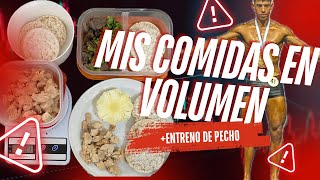 Mis comidas en volumen limpio  entreno de pecho🫡🥇 [upl. by Mayer]