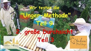 Wir testen die quotUngerMethodequot Teil 9  2 Große Durchsicht Teil 3 1252017 [upl. by Karp579]