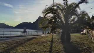 Lugano Palms in winter part1 [upl. by Anaid284]