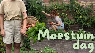 Moestuinier met mij  MOESTUIN in een rijtjeshuis [upl. by Fleeta]