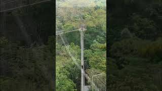 Zipline peru trip traveling shorts shortvideo [upl. by Reinke]