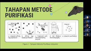 Method of Purifying Ubiquitin Protein  Rekayasa Protein Group 3 [upl. by Valeria]