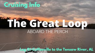 Great Loop Cruising Info Leg 81Coffeeville to the Tensaw River AL [upl. by Glori532]