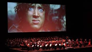 Samwise Gamgee Vs Shelob live orchestra Barcelona 16423 [upl. by Devan]