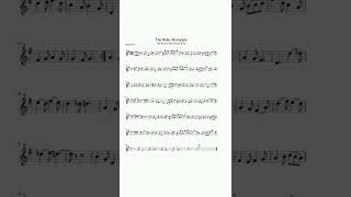 The Rake Hornpipe The Krusty Krab theme song recorder alto sheet music [upl. by Phylis711]