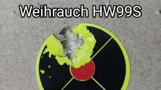 Leading in the new air rifle  Weihrauch HW99S  HW50 [upl. by Evvy]