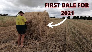 Triticale Hay Making We Are Raking amp Bailing [upl. by Mignon]