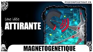 LA MAGNÉTOGÉNÉTIQUE une idée attirante [upl. by Melliw507]