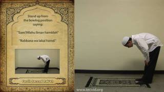 How to Pray  Asr Afternoon Pray  Fardh [upl. by Letnuhs]