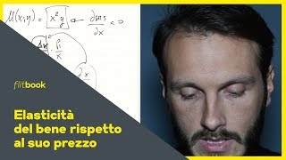 Elasticità della domanda al prezzo  Flitbook  Lezioni Microeconomia  Economia Politica [upl. by Koren]