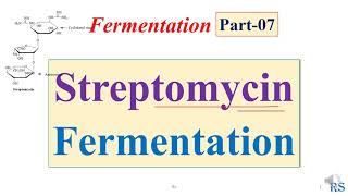 108 Streptomycin Fermentation  Microbial Production of Streptomycin [upl. by Dorise]