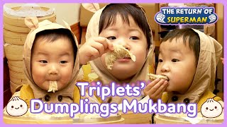 Triplets House Legendary dumplings mukbang of Triplets 🥟🥟🥟  KBS WORLD TV [upl. by Icrad]