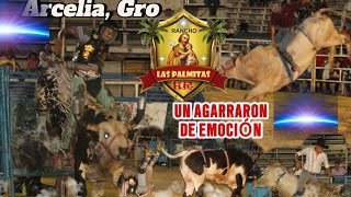 💥FESTEJANDO LAS FIESTA PATRIAS 🔥 Rancho Las Palmitas del srHugo Román en Arcelia Gro2024 [upl. by Yelha]