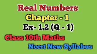 Prove root 5 is irrational Chapter  1 Real Numbers Ex 12Q 1  Class 10th Maths [upl. by Cecilia]