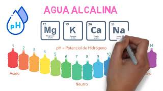 AGUA PURIFICADA VS AGUA ALCALINA ｜ ¿CUAL DEBO CONSUMIR？🤔 [upl. by Siri]