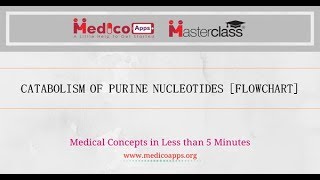 CATABOLISM OF PURINE NUCLEOTIDE [upl. by Lauter992]