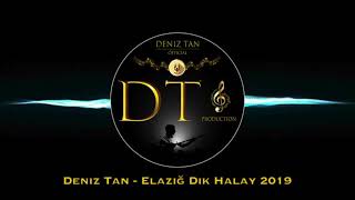 Deniz Tan  Elazığ Dik Halay 2019  Official Audio [upl. by Hendon203]