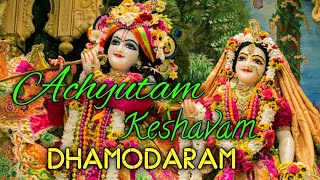 Achyutam Keshavam Krishna Damodaram।। Krishna Bhajans ।। Radha Krishna song।। Hore Krishna [upl. by Eneleahs]