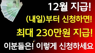 긴급오늘 신청하면 12월에 지급 최대 230만원 지급 정부에서 줍니다 이것 신청하세요 정부지원금 1인당230만원지급 12월지급 [upl. by Ttehc]