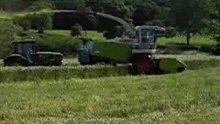 Cutting Whole Crop Triticale With a Claas 900 [upl. by Ynomrah827]