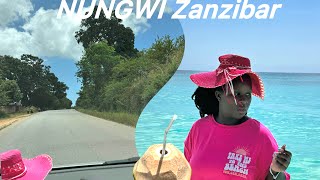 Vlog  Road Trip to Nungwi Zanzibar🇹🇿 [upl. by Mirabel582]