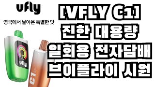 VFLY C1진한 대용량 일회용 전자담배 브이플라이 씨원 시원 [upl. by Cami]