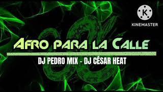 Afro Para La Calle Dj Pedro Mix Ft Dj César Heat  💥😎💯 [upl. by Sarah145]