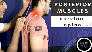 POSTERIOR CERVICAL SPINE MUSCLESBIOMECHANICS OF SPINEPhysiotherapy Tutorial [upl. by Charo715]