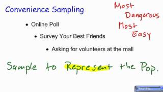 Convenience Sampling [upl. by Arahset]