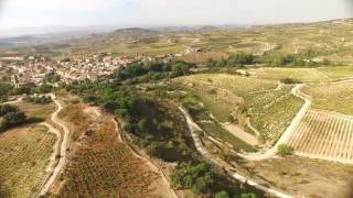 Vendimias a vista de pájaro Bodegas Amaren  DOCa Rioja [upl. by Annel]