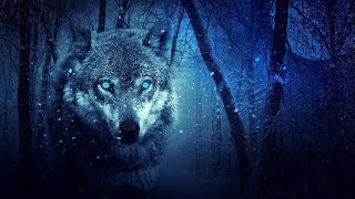 Wolves howling in the night 8 Hours of wolf sounds [upl. by Arvy722]