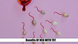 Do You Have to Take HCG on TRT [upl. by Veronique]