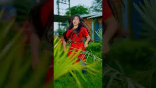 Bar bar ka puche lu song dance [upl. by Bate46]