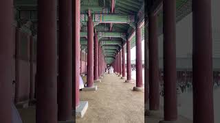 Korean royal palace Gyeongbokgung korea palace shorts [upl. by Adallard937]