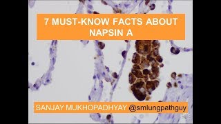 7 mustknow facts about napsin A [upl. by Fatimah]